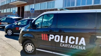 Parque de seguridad