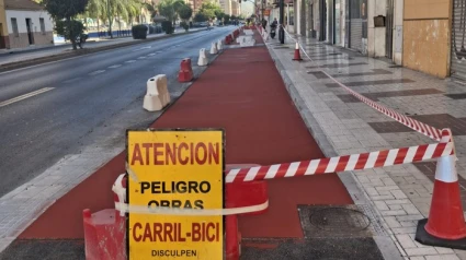 Un nuevo carril bici en Málaga conectará la avenida de Velázquez con la zona del Martín Carpena