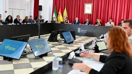 Pleno de la Diputación de Granada