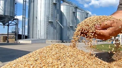 Cereales