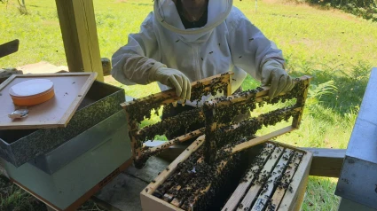 Foto de archivo de un operario de A Casa do Mel