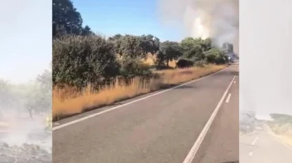 Incendio forestal en Monroy en la zona de Las Viñas