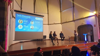 Una de les ponències de la Trobada Empresarial d'Innovació Digital de l'Alt Pirineu i Aran duta a terme a la Seu d'Urgell.