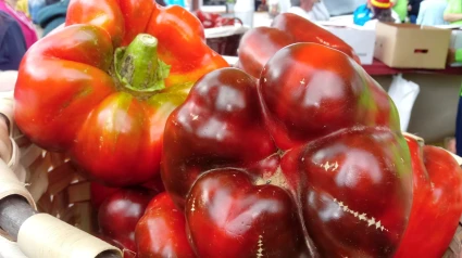 Feria del Pimiento de Torquemada