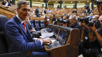 El presidente del Gobierno, Pedro Sánchez, en el Congreso