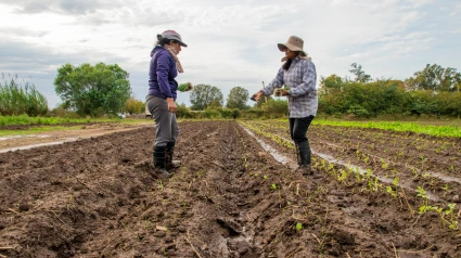 Mujeres trabajando en el campo