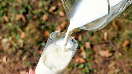 La Universidad de Zaragoza estudia las propiedades de la leche