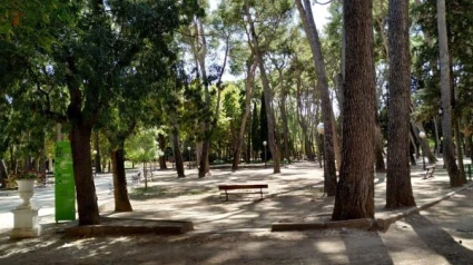 Algunos de los ejemplares propuestos están en el parque Miguel Servet