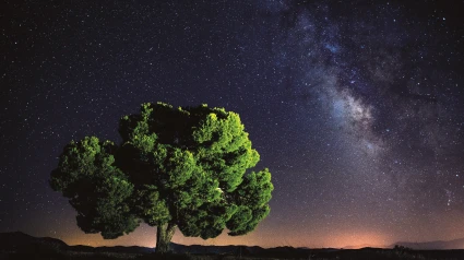 Monfragüe y Las Hurdes brillan entre los cielos más bonitos de España