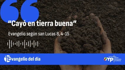 EVANGELIO 20 SEP 2025