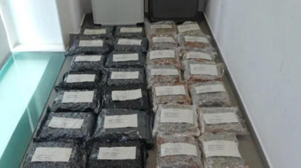 La droga intervenida por la Policía Nacional procedente de Tailandia