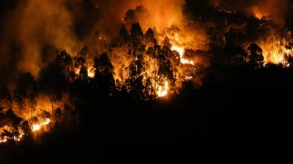 Ecofire