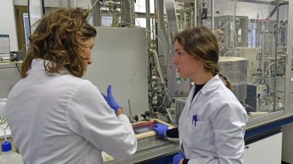 Prácticas de formación profesional
