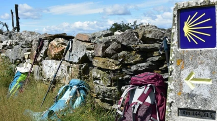 Camino de Santiago