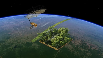 Ponferrada se lanza al espacio: investigadores de la Universidad de León se suman a la misión BIOMASS de la ESA para frenar la deforestación