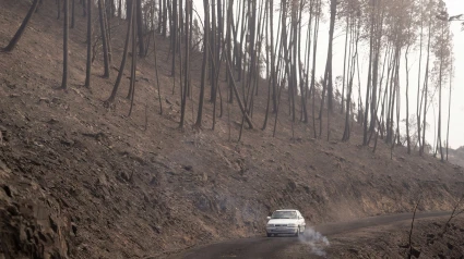 Monte quemado en A Barca (Sober) donde continúa activo el incendio