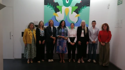 Asistentes a la comisión del seguimiento de Huesca más Inclusiva