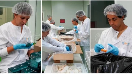Trabajadores Caphaces