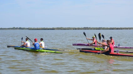 Autorizado el Club de Piragüisme Silla la práctica de piragüismo en l'Albufera.