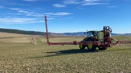 El relevo generacional es aún más complejo en el sector agrícola y ganadero de la provincia de Soria