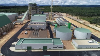 La planta de biomasa en Cubillos del Sil (León)