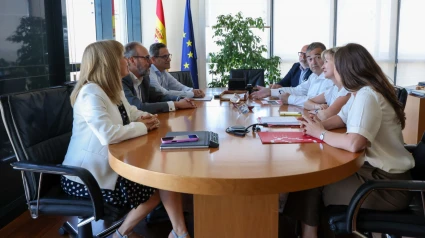 Una delegación de la Cámara de Comercio de Soría se reunió en la Gerencia de Informática de la Seguridad Social en Madrid