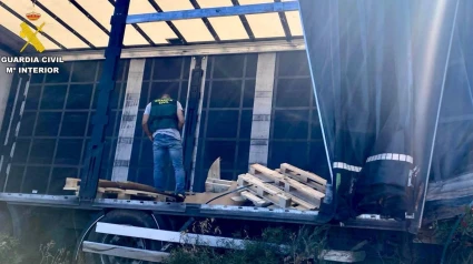 El camión accidentado iba cargado con 24 bovinas de cobre
