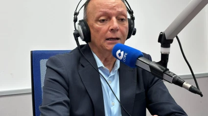 Navarro, en una imagen de archivo