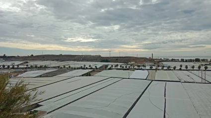Invernaderos