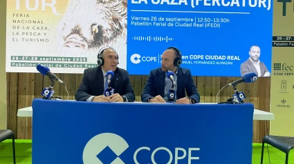 Programa Especial FERCATUR 25