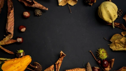 El arte de preparar castañas en casa: trucos y recetas para disfrutar del otoño