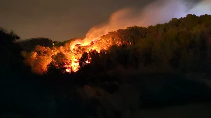 El fuego avanza entre la maleza en una zona boscosa de la partida Gargasindi durante los primeros momentos del incendio
