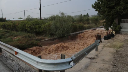 Los servicios de emergencia han recibido algo más de 50 llamadas por los episodios de lluvia