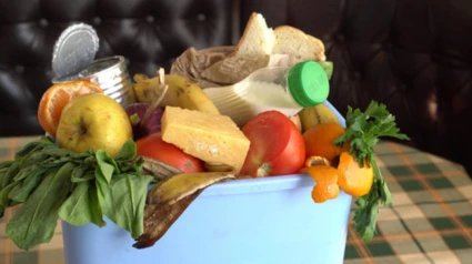 Educación y sensibilización: la receta imprescindible para frenar el despilfarro de alimentos