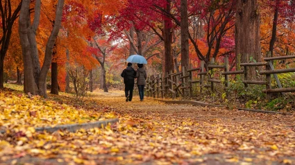 Una pareja paseando