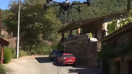 Dron uvas