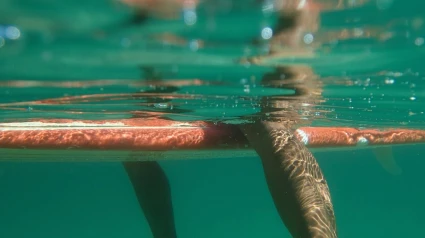 Foto de Jesús Busto