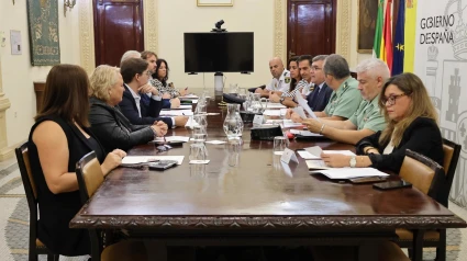 Comisión Provincial de Seguimiento y Evaluación del Plan Director para la Convivencia y Mejora de la Seguridad Escolar en los Centros Educativos y sus Entornos