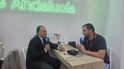 Entrevista a David Toscano, presidente de Diputación