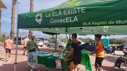 ELA-conocELA