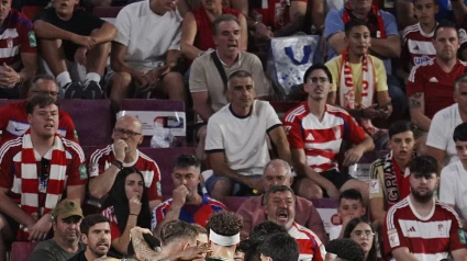 Aficionados del Granada