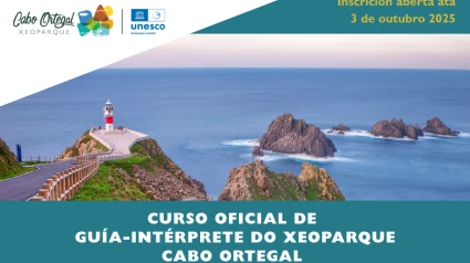 Cartel del curso