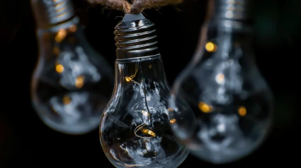 Esto implica la instalación de dispositivos que permitan a los usuarios desplazar la demanda hacia los momentos más baratos