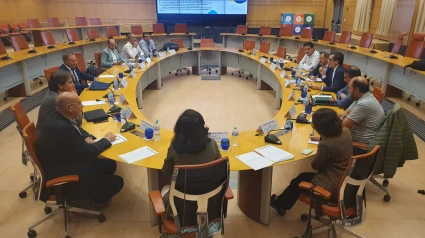 Alberto González, primero por la izquierda, en la participación de la reunión