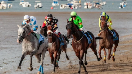 Las carreras de caballos en Sanlúcar son uno de los grandes espectáculos veraniegos del verano.