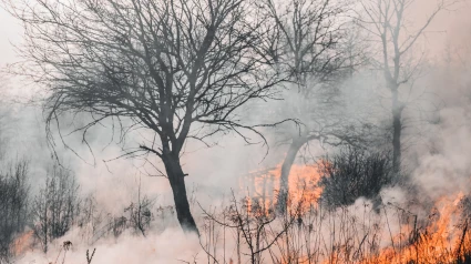 La Junta consultará con la AEMET la ampliación de la época de peligro alto de incendios