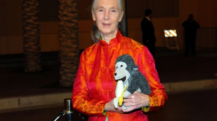 Jane Goodall llega al Festival de Cine de Aventuras Julio Verne y Exposiciones en el Auditorio Shrine de Los Ángeles