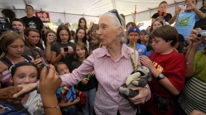 Jane Goodall