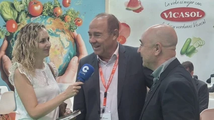 Vicasol hace balance de Fruit Attraction 2025