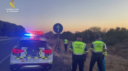 Pillan a un ciclista casi duplicando la tasa de alcohol en plena autopista